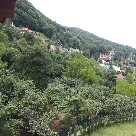 With Lake View فيلة *