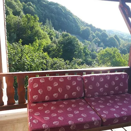 With Lake View