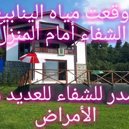 With Lake View فيلة