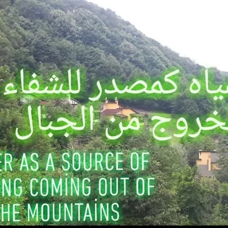 With Lake View فيلة
