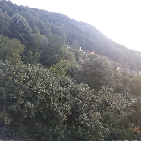 With Lake View *
